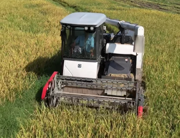 mg不朽情缘(中国)官方网站