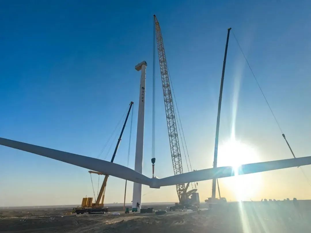 mg不朽情缘(中国)官方网站