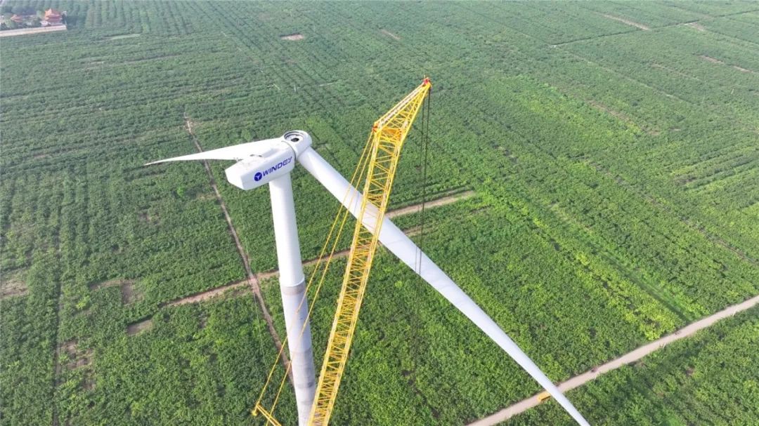 mg不朽情缘(中国)官方网站